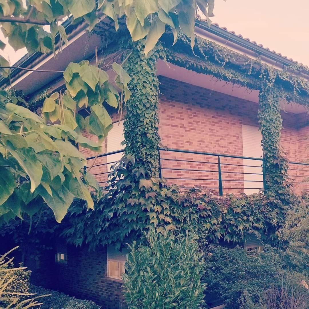 Casa Campo Ao Rio_Village Barcelos Luaran gambar