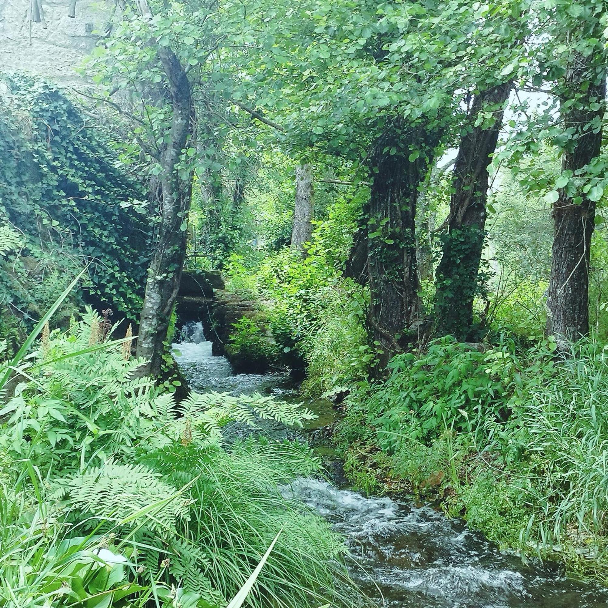 Casa Campo Ao Rio_Village Barcelos Luaran gambar